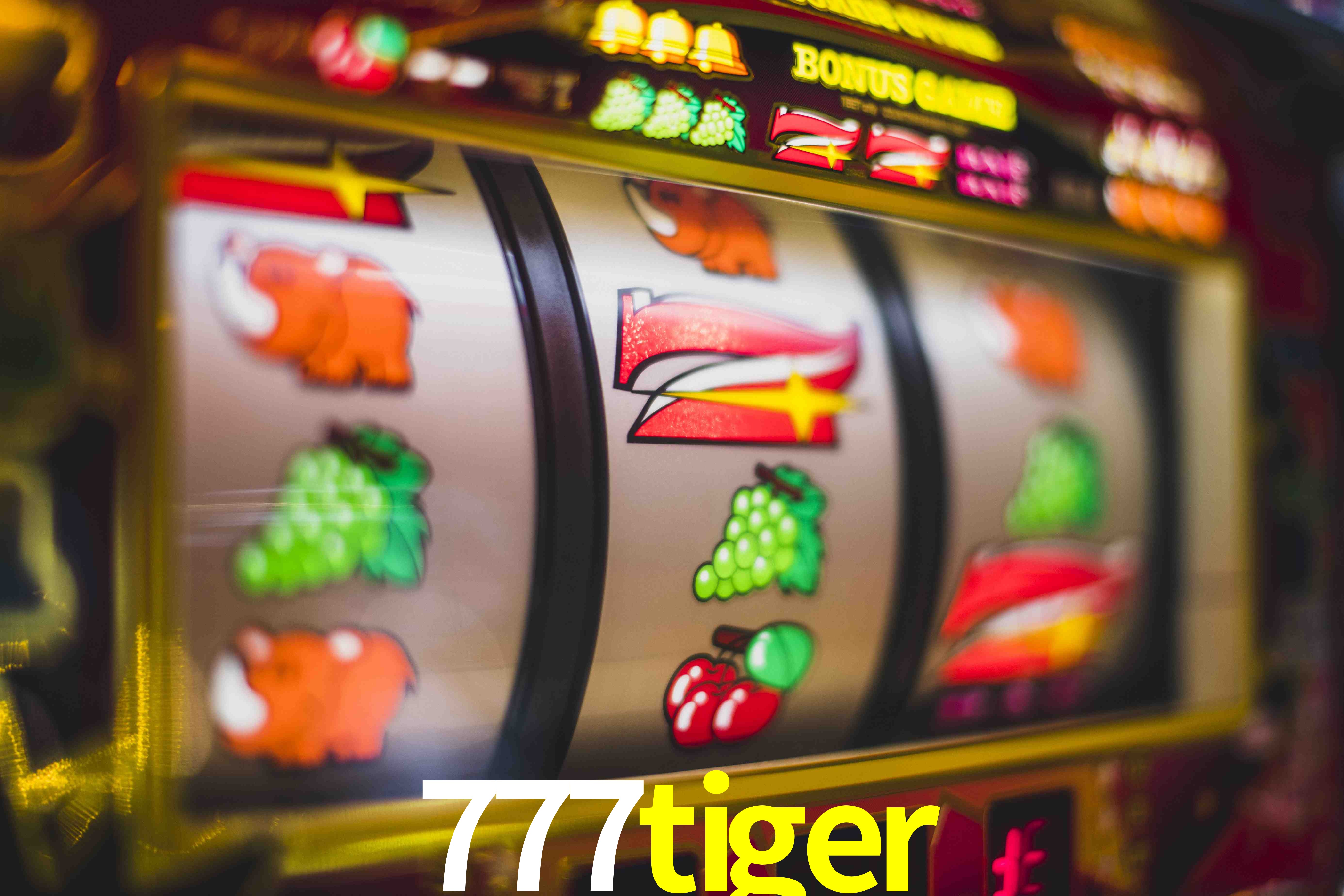 Sports Statistics 777tiger